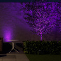 How Smart Landscape Lighting Adds Ambiance to Bounce House Rental Gatherings