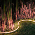 Enhance Your Garden with Smart Landscape Lighting and Silicone Sealants in Belgium