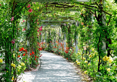 Transform Your Outdoor Space with Smart Lighting & Pergolas